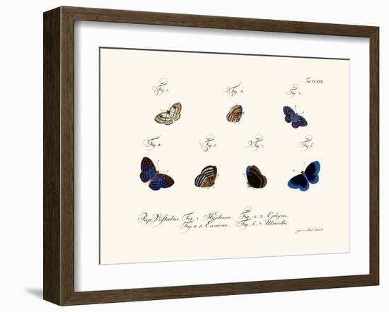 Butterflies, 1783-1806-null-Framed Giclee Print