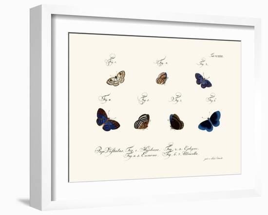 Butterflies, 1783-1806-null-Framed Giclee Print