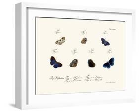 Butterflies, 1783-1806-null-Framed Giclee Print