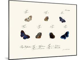 Butterflies, 1783-1806-null-Mounted Giclee Print