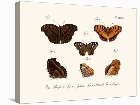 Butterflies, 1783-1806-null-Stretched Canvas