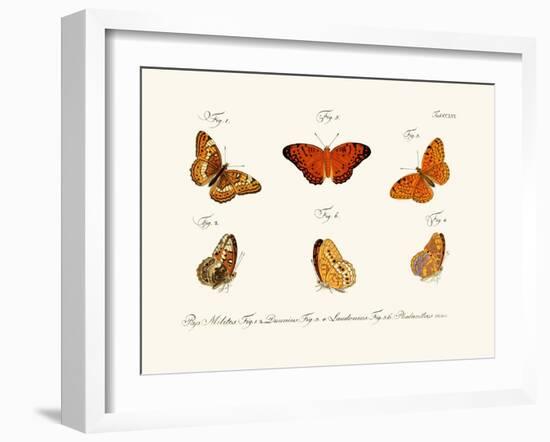 Butterflies, 1783-1806-null-Framed Giclee Print