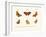 Butterflies, 1783-1806-null-Framed Giclee Print