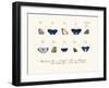 Butterflies, 1783-1806-null-Framed Giclee Print