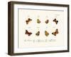 Butterflies, 1783-1806-null-Framed Giclee Print