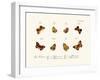 Butterflies, 1783-1806-null-Framed Giclee Print