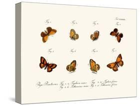 Butterflies, 1783-1806-null-Stretched Canvas