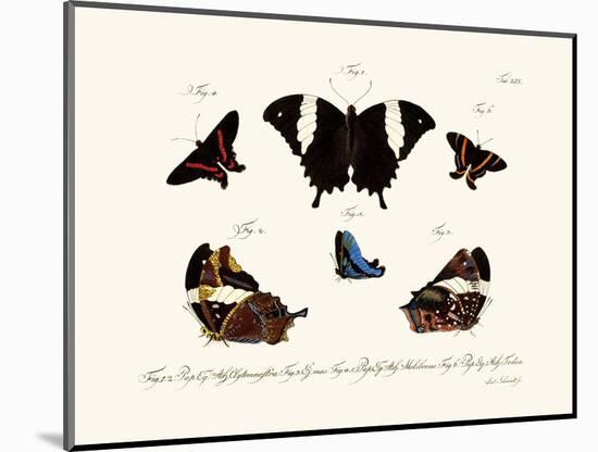 Butterflies, 1783-1806-null-Mounted Giclee Print