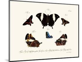 Butterflies, 1783-1806-null-Mounted Giclee Print