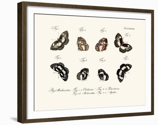 Butterflies, 1783-1806-null-Framed Giclee Print