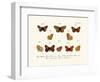 Butterflies, 1783-1806-null-Framed Giclee Print