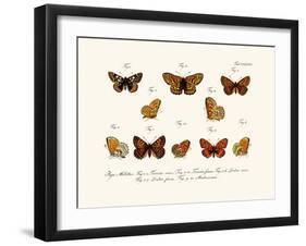 Butterflies, 1783-1806-null-Framed Giclee Print