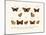 Butterflies, 1783-1806-null-Mounted Giclee Print