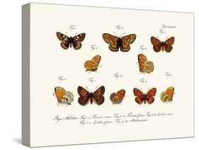 Butterflies, 1783-1806-null-Stretched Canvas