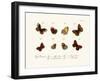 Butterflies, 1783-1806-null-Framed Giclee Print