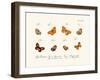 Butterflies, 1783-1806-null-Framed Giclee Print