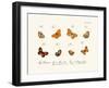 Butterflies, 1783-1806-null-Framed Giclee Print