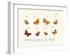 Butterflies, 1783-1806-null-Framed Giclee Print