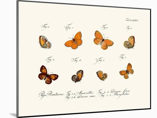 Butterflies, 1783-1806-null-Mounted Giclee Print