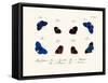 Butterflies, 1783-1806-null-Framed Stretched Canvas