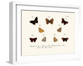 Butterflies, 1783-1806-null-Framed Giclee Print