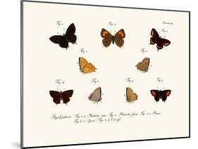 Butterflies, 1783-1806-null-Mounted Giclee Print