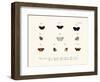 Butterflies, 1783-1806-null-Framed Giclee Print