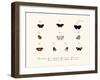 Butterflies, 1783-1806-null-Framed Giclee Print