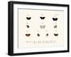 Butterflies, 1783-1806-null-Framed Giclee Print