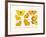 Butterflies, 1783-1806-null-Framed Giclee Print