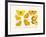 Butterflies, 1783-1806-null-Framed Giclee Print