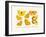 Butterflies, 1783-1806-null-Framed Giclee Print