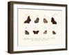 Butterflies, 1783-1806-null-Framed Giclee Print