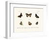 Butterflies, 1783-1806-null-Framed Giclee Print