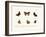 Butterflies, 1783-1806-null-Framed Giclee Print