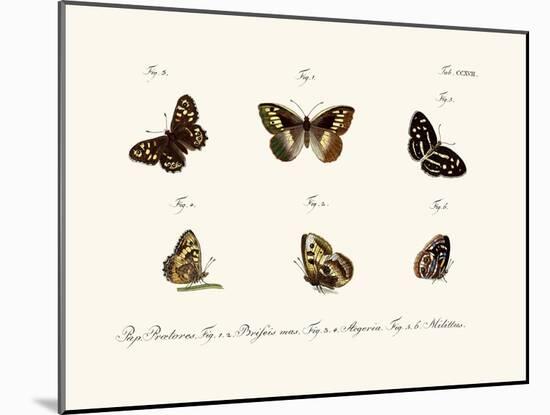 Butterflies, 1783-1806-null-Mounted Giclee Print