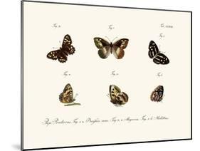 Butterflies, 1783-1806-null-Mounted Giclee Print