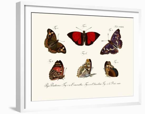 Butterflies, 1783-1806-null-Framed Giclee Print