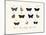 Butterflies, 1783-1806-null-Mounted Giclee Print