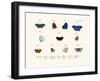 Butterflies, 1783-1806-null-Framed Giclee Print