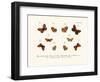 Butterflies, 1783-1806-null-Framed Giclee Print