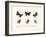 Butterflies, 1783-1806-null-Framed Giclee Print