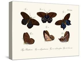 Butterflies, 1783-1806-null-Stretched Canvas