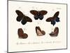 Butterflies, 1783-1806-null-Mounted Giclee Print