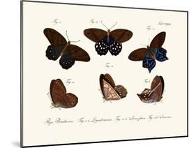 Butterflies, 1783-1806-null-Mounted Giclee Print