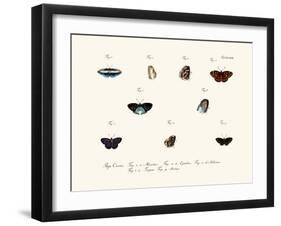 Butterflies, 1783-1806-null-Framed Giclee Print