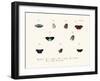 Butterflies, 1783-1806-null-Framed Giclee Print