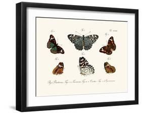 Butterflies, 1783-1806-null-Framed Giclee Print