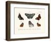 Butterflies, 1783-1806-null-Framed Giclee Print