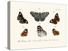 Butterflies, 1783-1806-null-Stretched Canvas